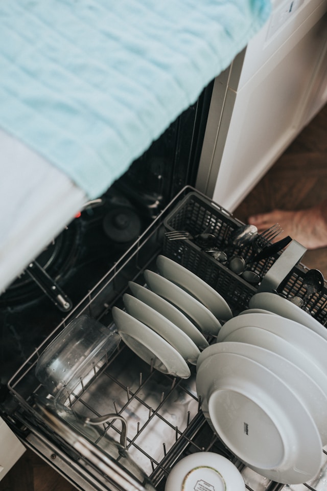 Dishwasher Repair